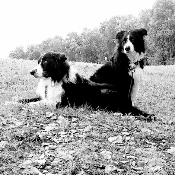 Meet your Posher, Patricia - Picture 1 of 1